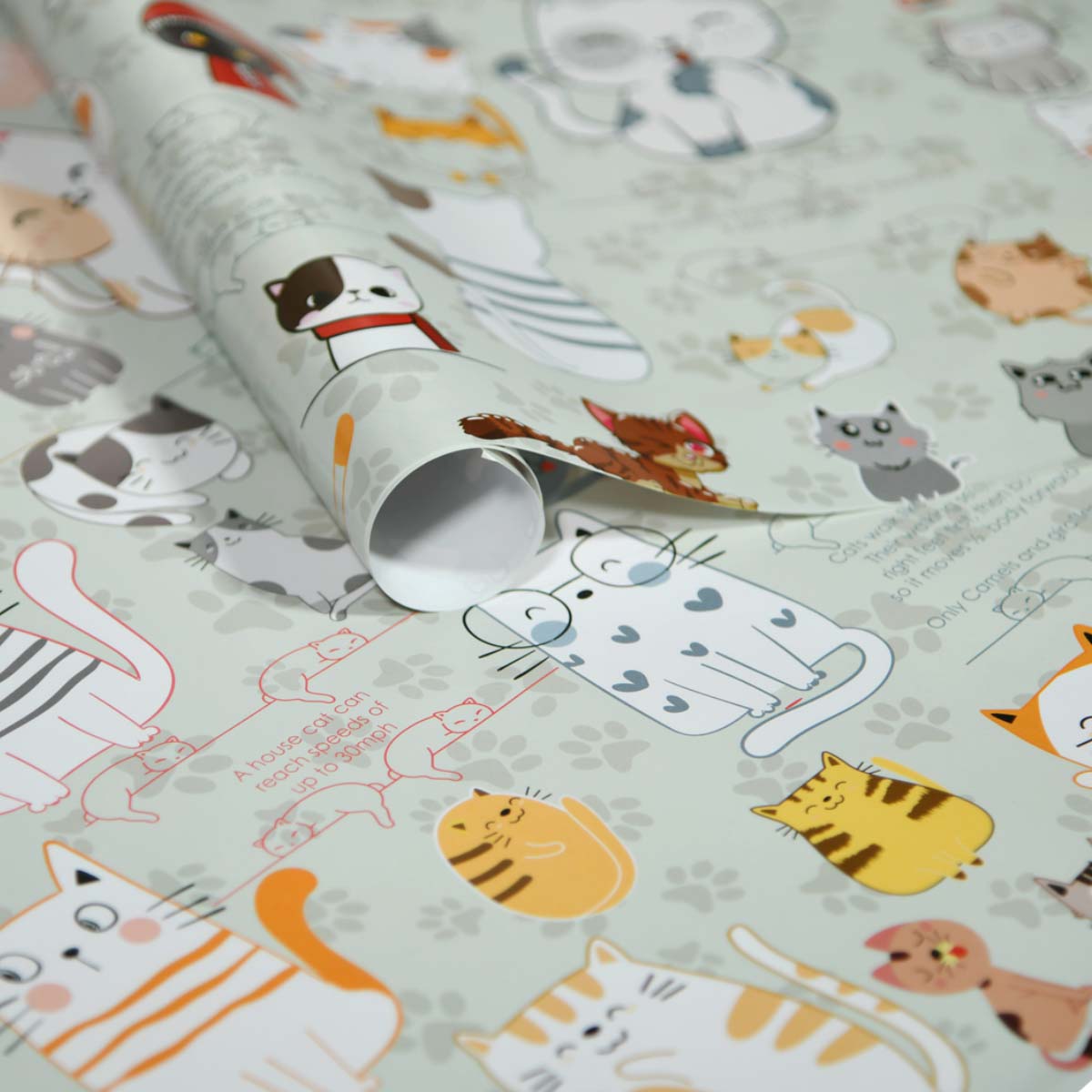 Gift Wrapping Paper | Cat-Set of 10