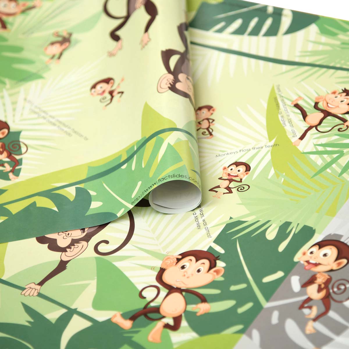 Gift Wrapping Paper | Monkey-Set of 10