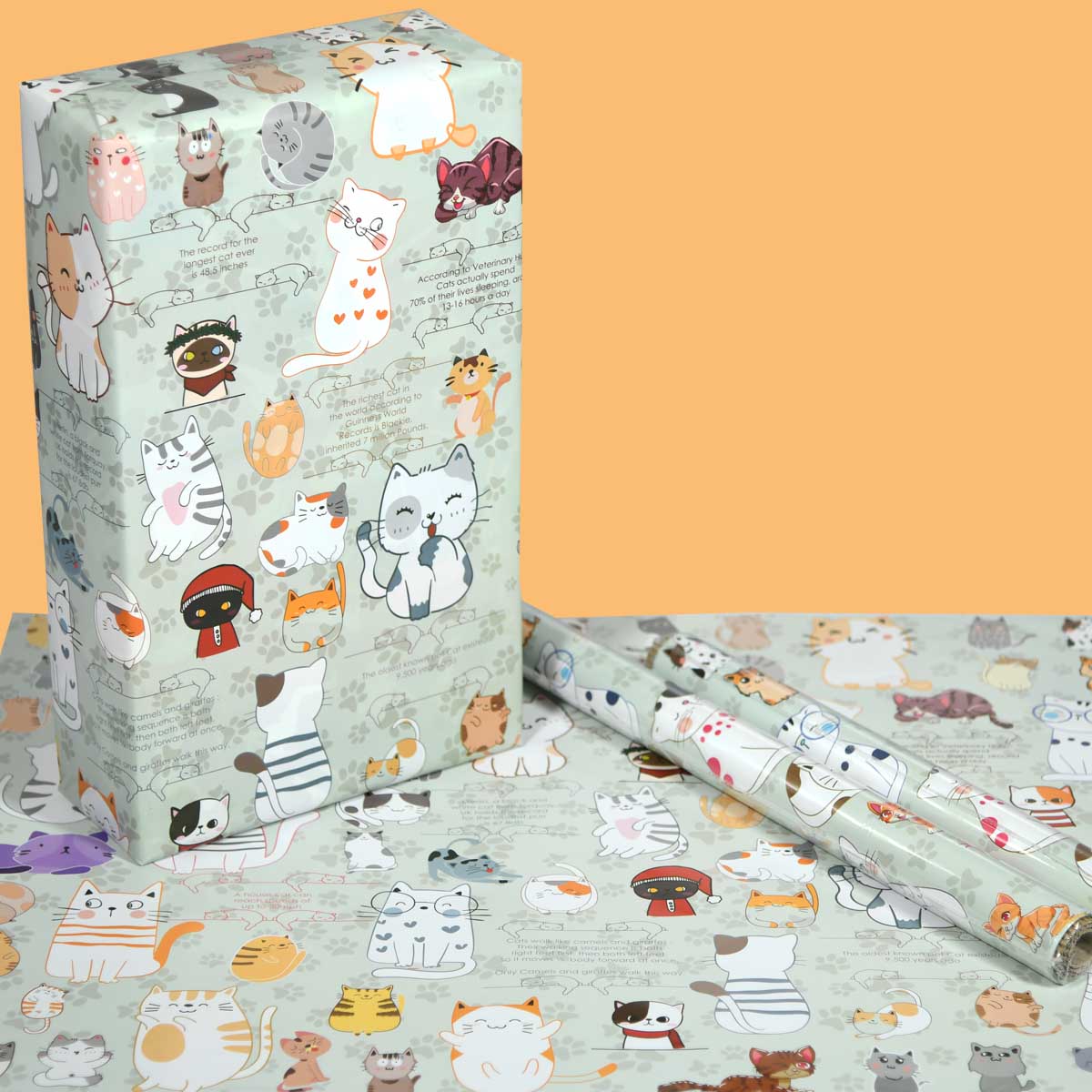 Gift Wrapping Paper | Cat-Set of 10