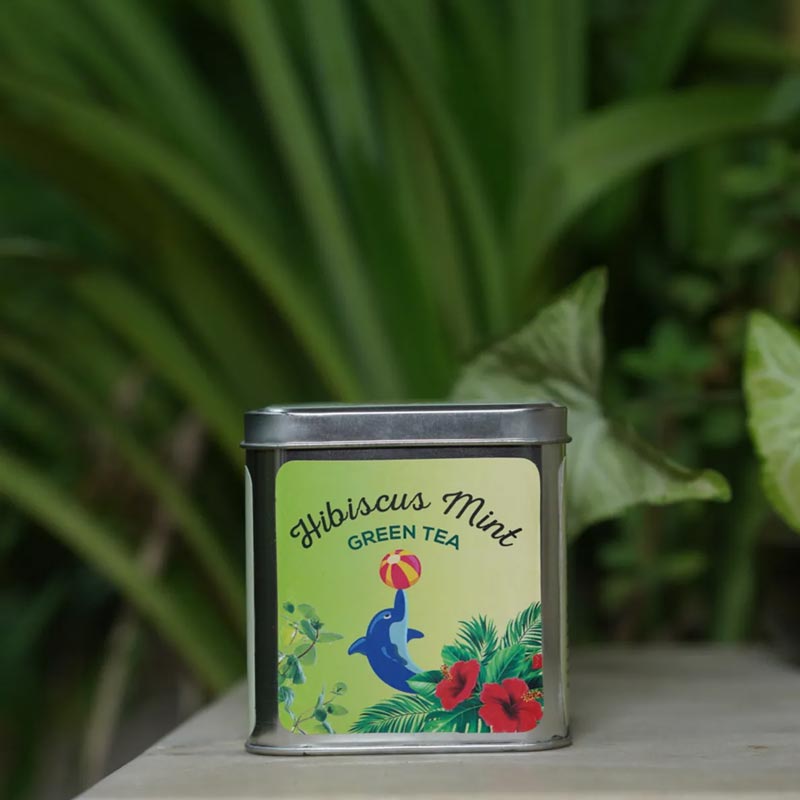 Hibiscus Mint Green Tea | 50g | 20 bags