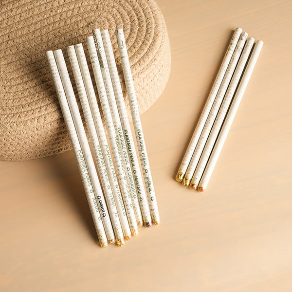 Plantable Seed Pencils | Set of 3