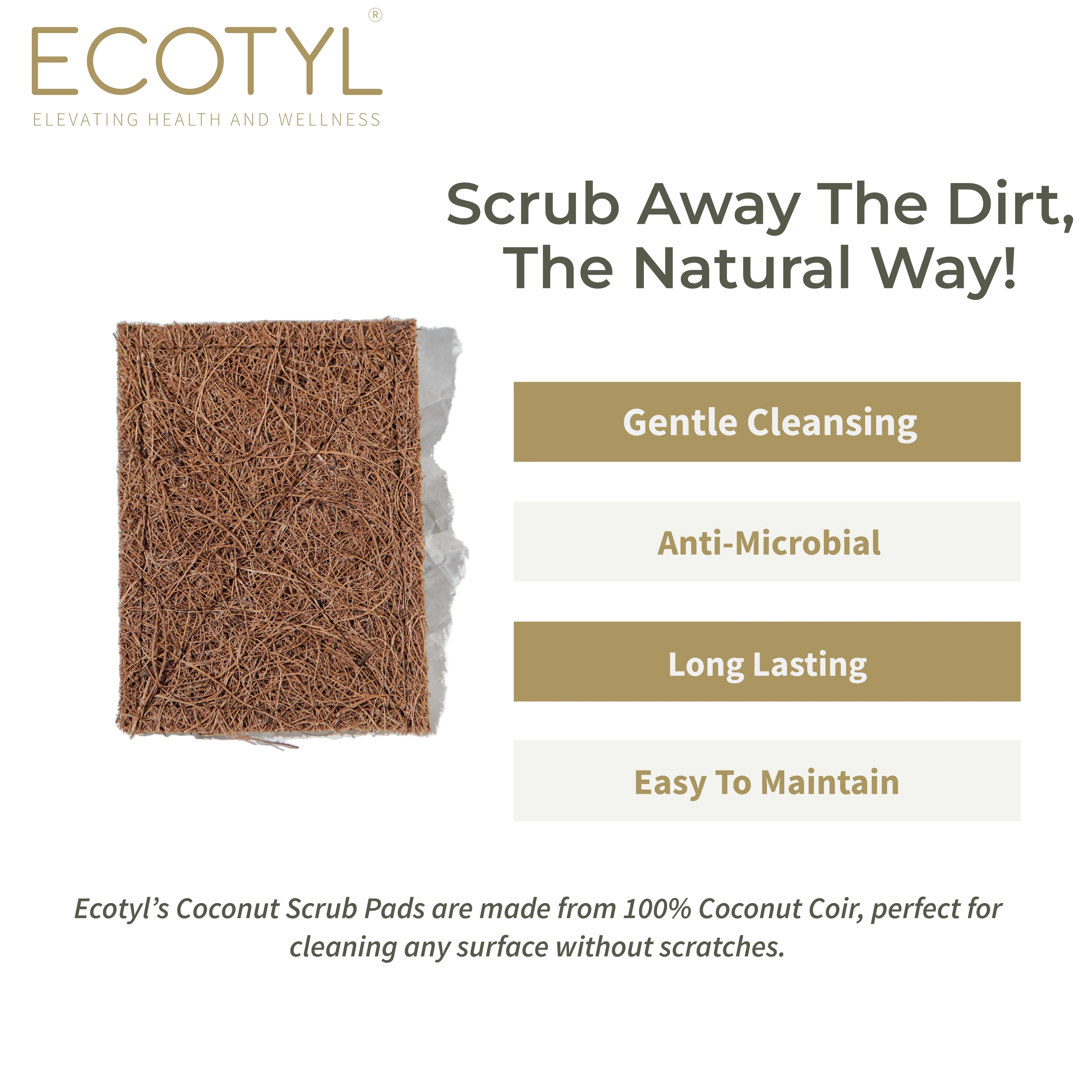 Coconut Scrub Pad | Set of 5