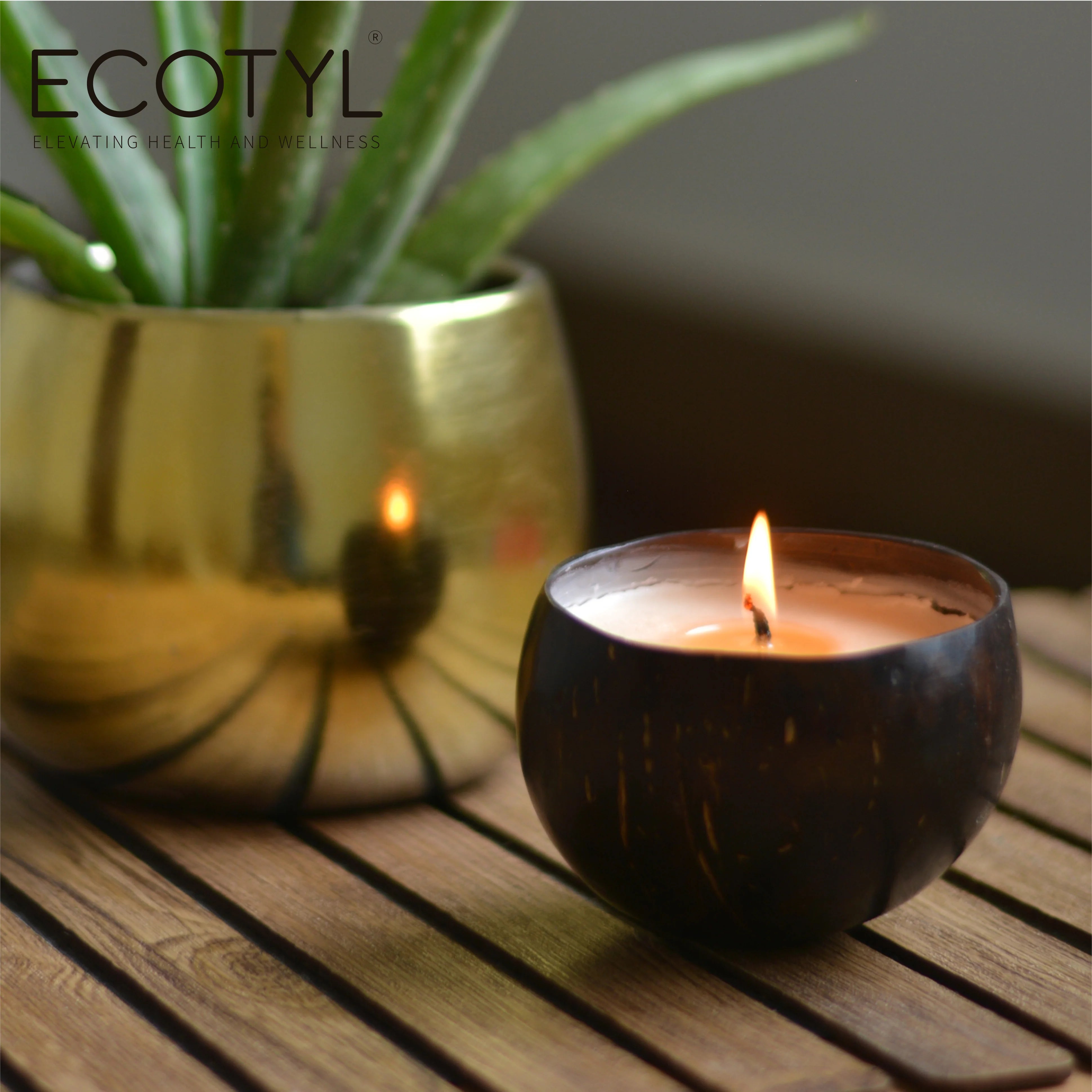 Coconut Shell Candle | Patchouli & Rosewood | 100g