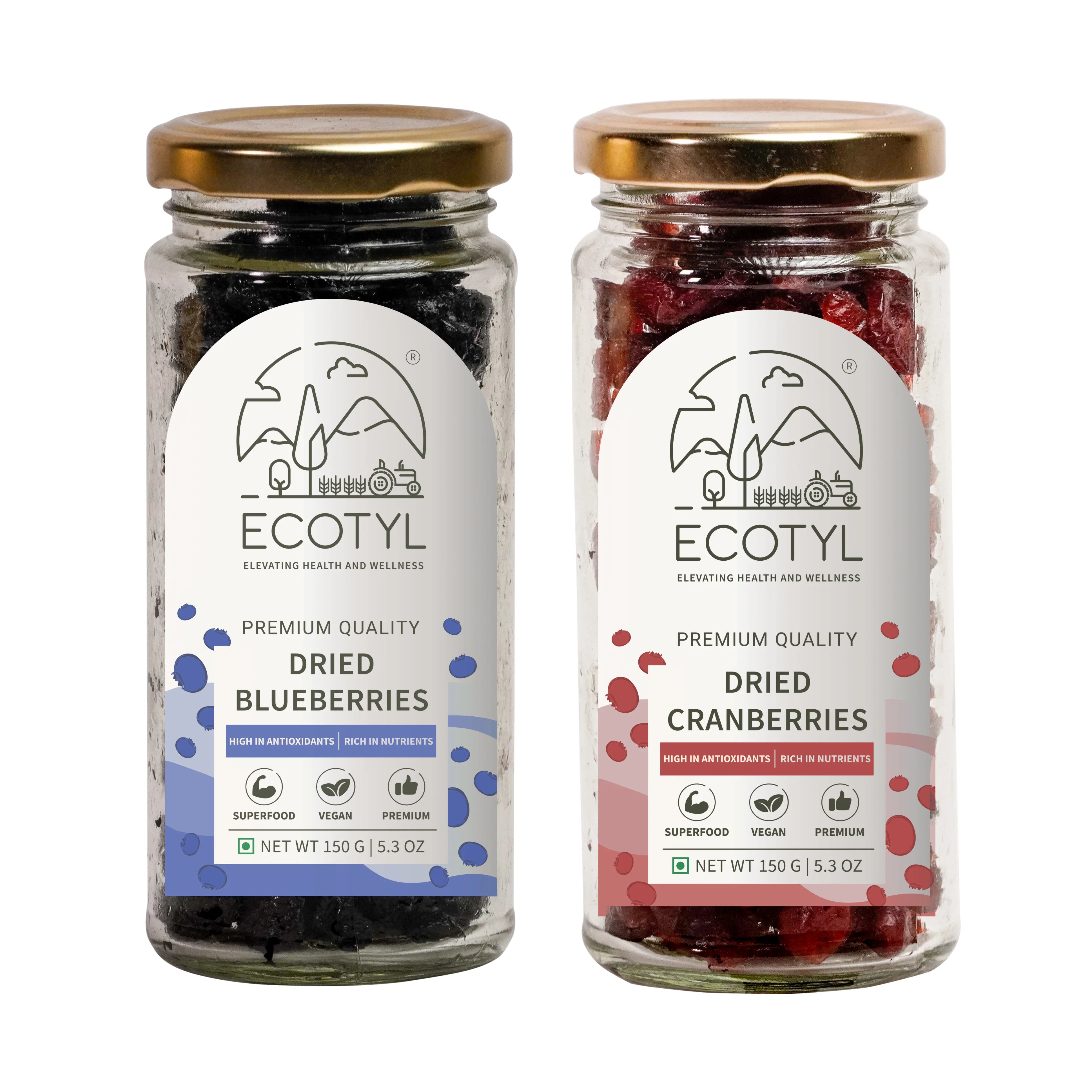Dried Blueberres & Dried Cranberries Combo | 150g Each