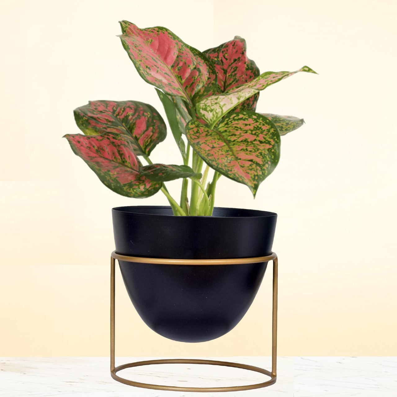 Eva Gold Metal Plant Pot with Stand (Set of 2)