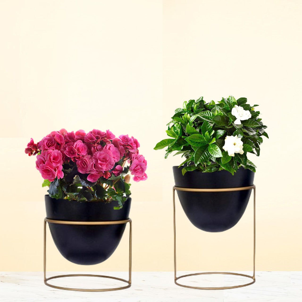 Alle Black Metal Plant Pot with Stand (Set of 2)