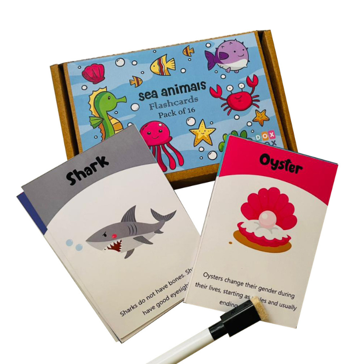 Flashcards | 300 GSM Paper | Sea Animals